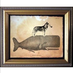 Husky Riding Whale Wall Art Print Tea Stained